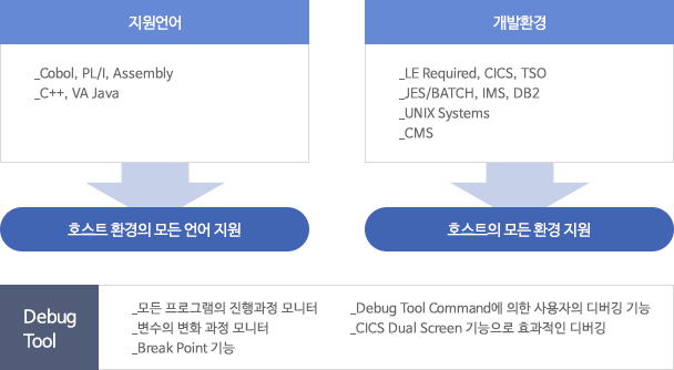 IBM zSeries Debug tool